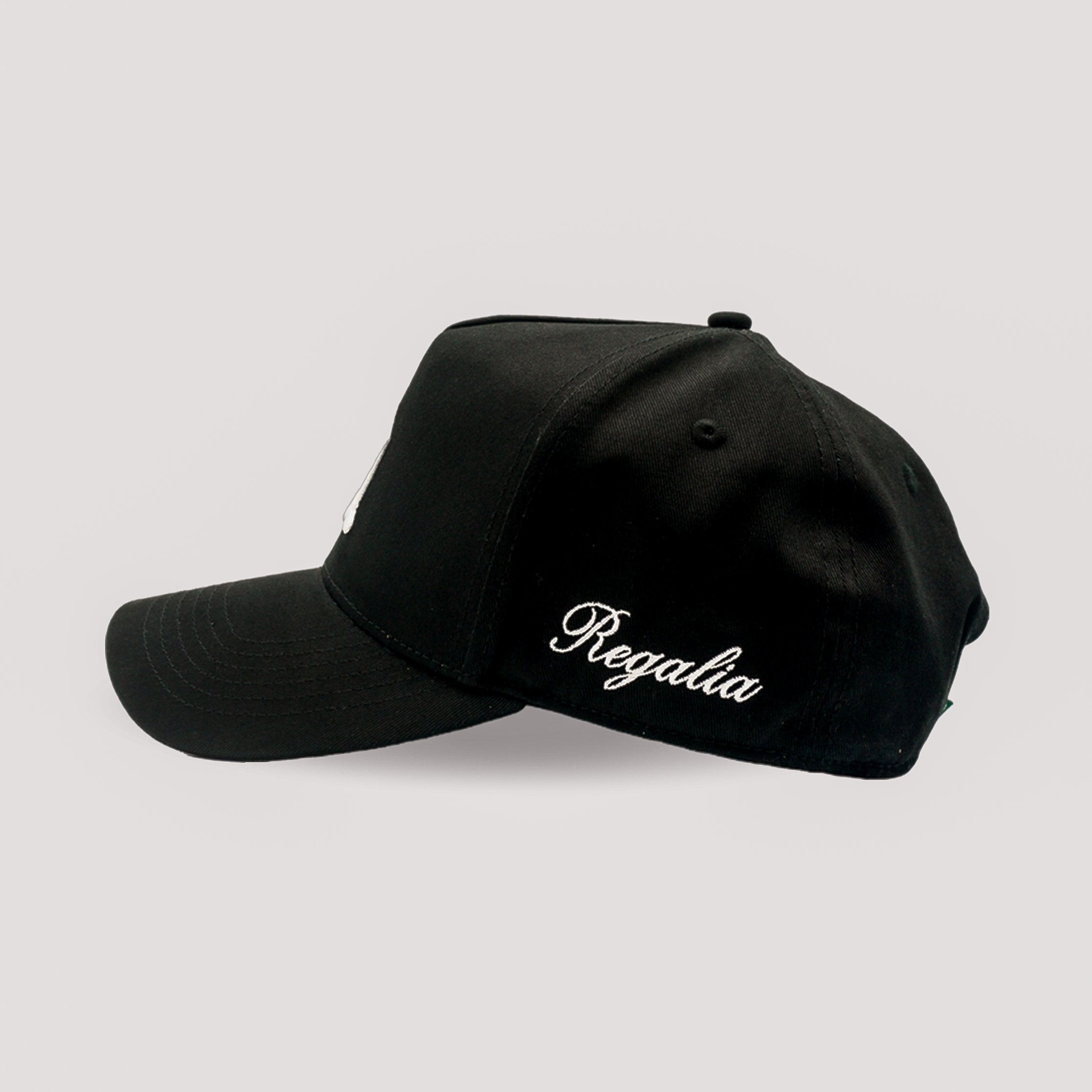Memphis McLemore snapback hat by Regalia
